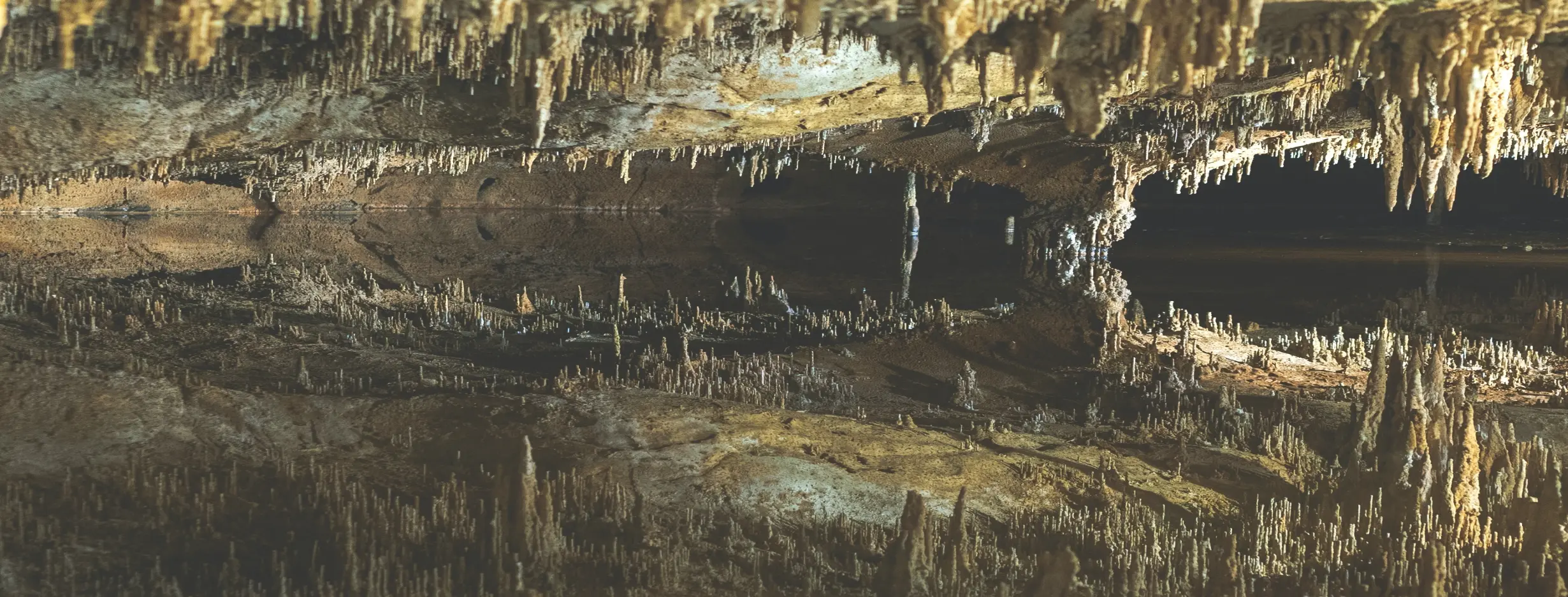 Image for Underground Wonders